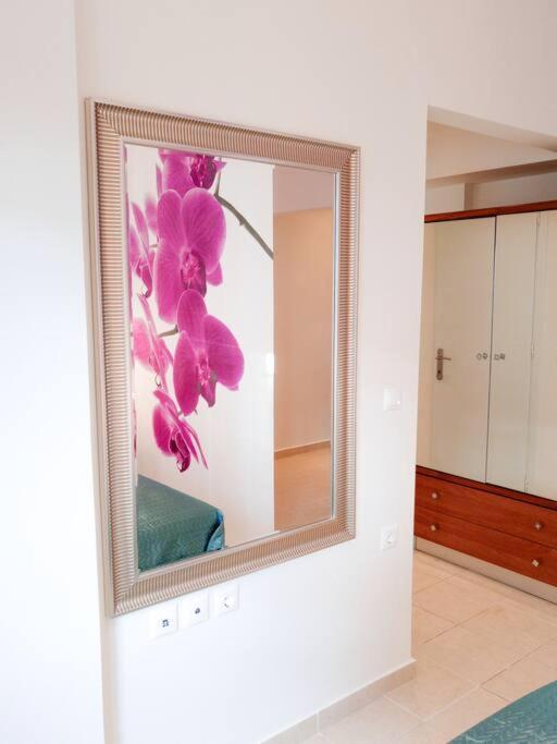 Orchid Apartments Thérmi Cameră foto